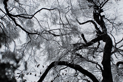 «ö¦¹¦b·sµøµ¡ÂsÄý¹Ï¤ù