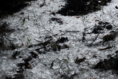 «ö¦¹¦b·sµøµ¡ÂsÄý¹Ï¤ù