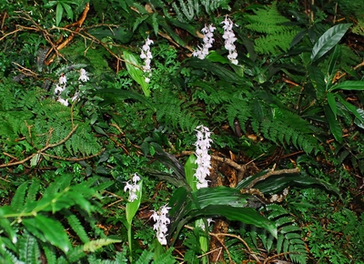 «ö¦¹¦b·sµøµ¡ÂsÄý¹Ï¤ù