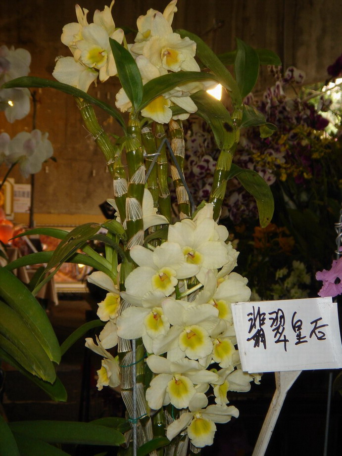 «ö¦¹¦b·sµøµ¡ÂsÄý¹Ï¤ù