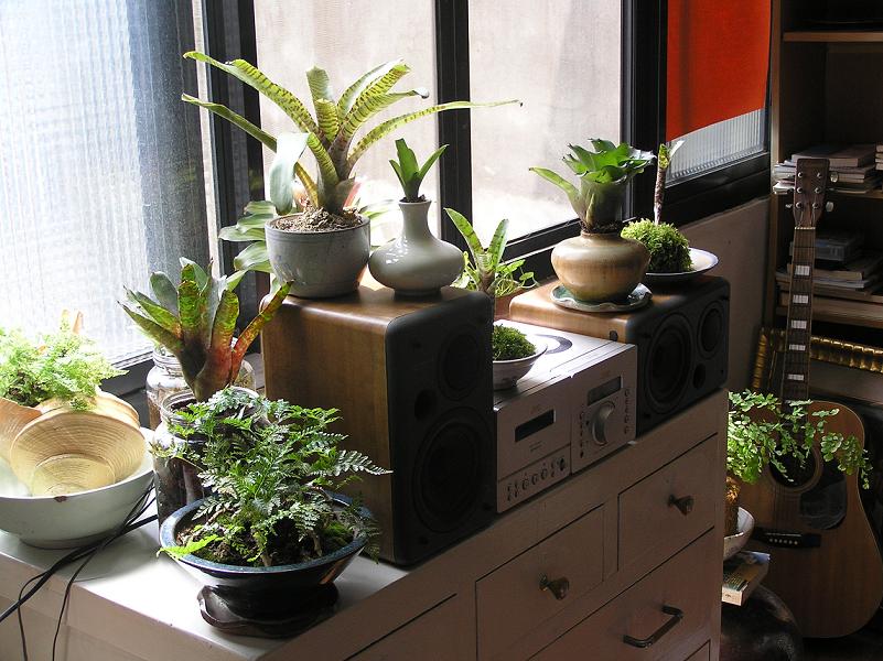 «ö¦¹¦b·sµøµ¡ÂsÄý¹Ï¤ù