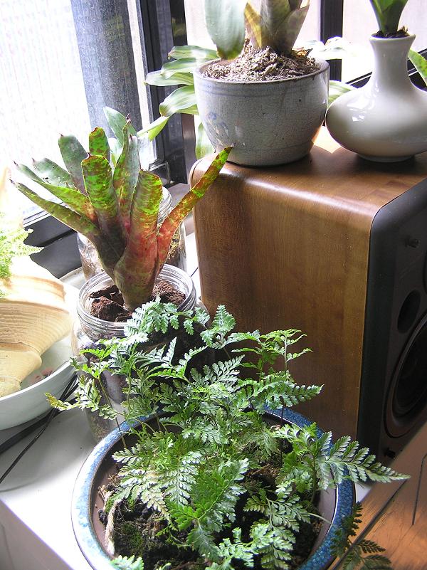 «ö¦¹¦b·sµøµ¡ÂsÄý¹Ï¤ù