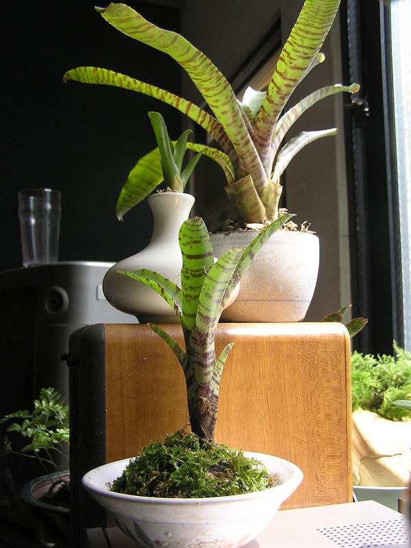 «ö¦¹¦b·sµøµ¡ÂsÄý¹Ï¤ù