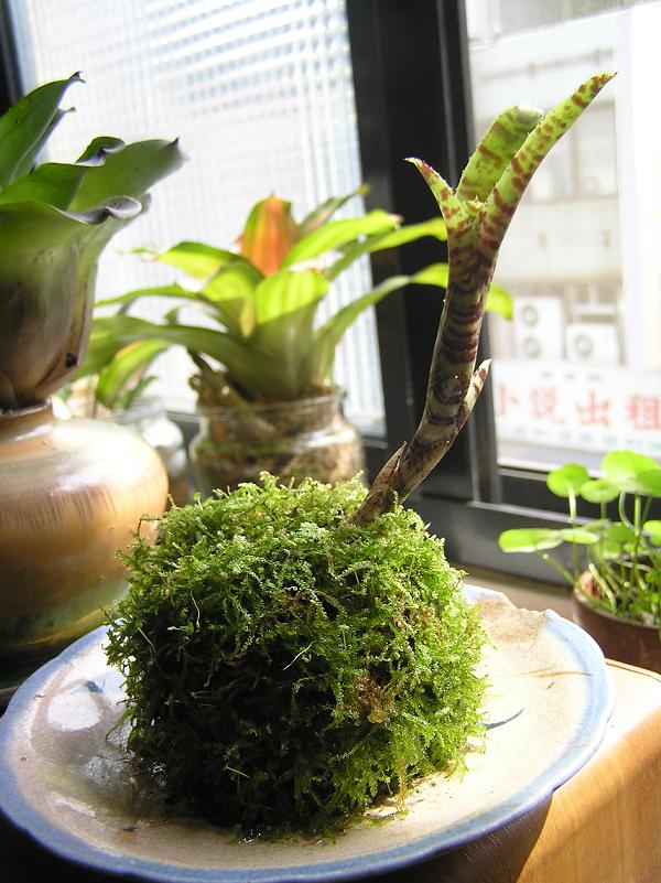 «ö¦¹¦b·sµøµ¡ÂsÄý¹Ï¤ù