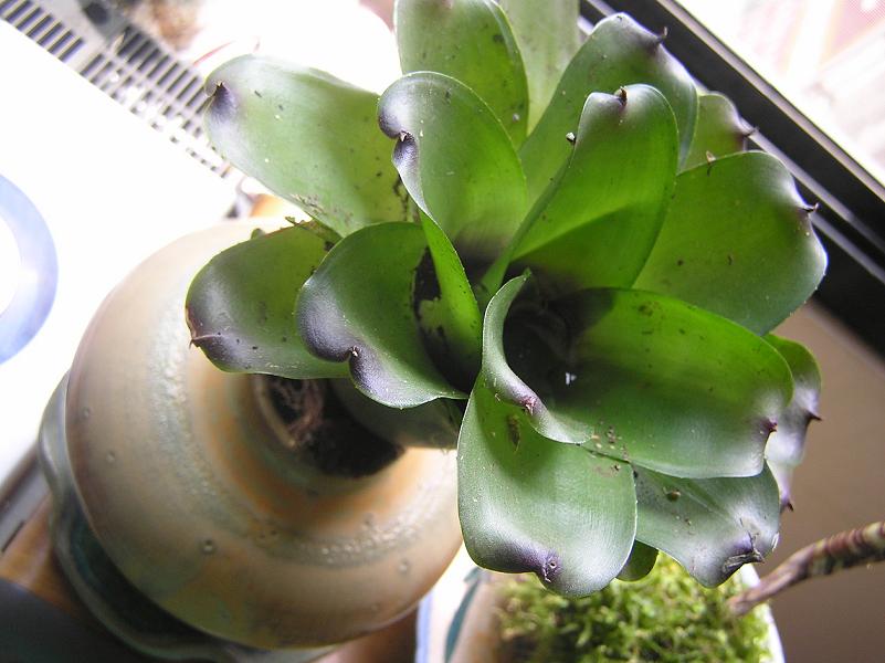 «ö¦¹¦b·sµøµ¡ÂsÄý¹Ï¤ù