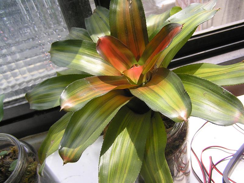 «ö¦¹¦b·sµøµ¡ÂsÄý¹Ï¤ù