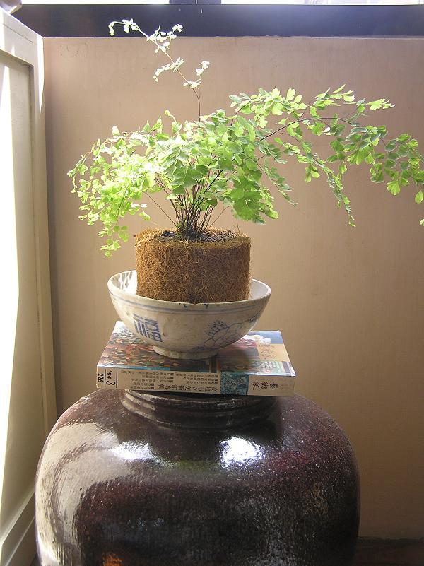 «ö¦¹¦b·sµøµ¡ÂsÄý¹Ï¤ù