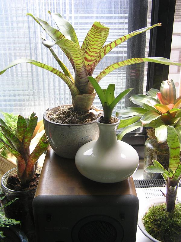 «ö¦¹¦b·sµøµ¡ÂsÄý¹Ï¤ù