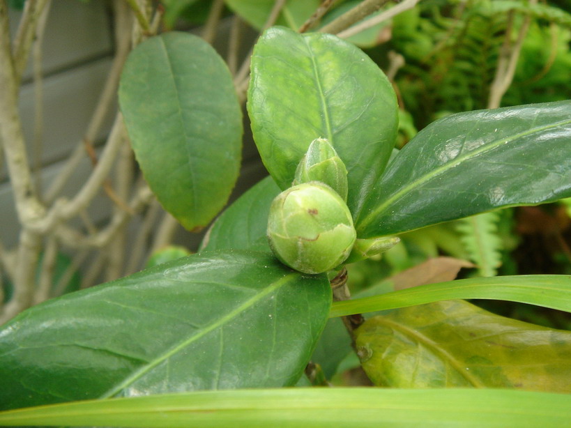 «ö¦¹¦b·sµøµ¡ÂsÄý¹Ï¤ù