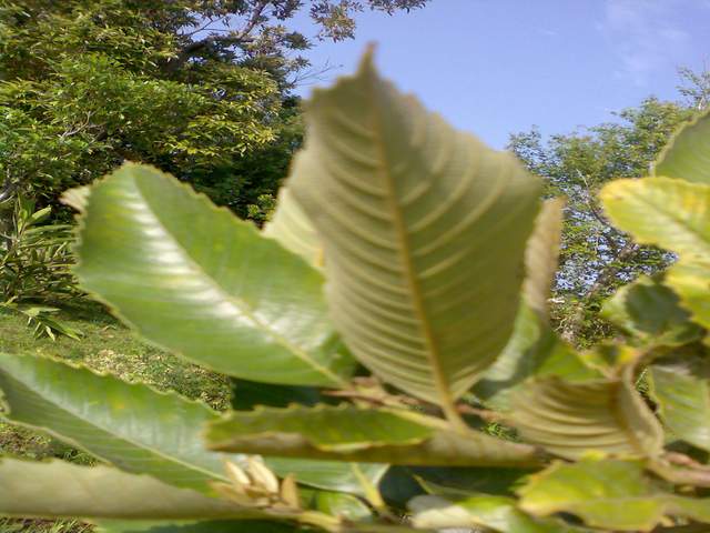 «ö¦¹¦b·sµøµ¡ÂsÄý¹Ï¤ù