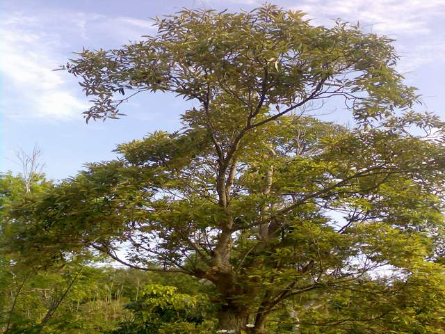 «ö¦¹¦b·sµøµ¡ÂsÄý¹Ï¤ù