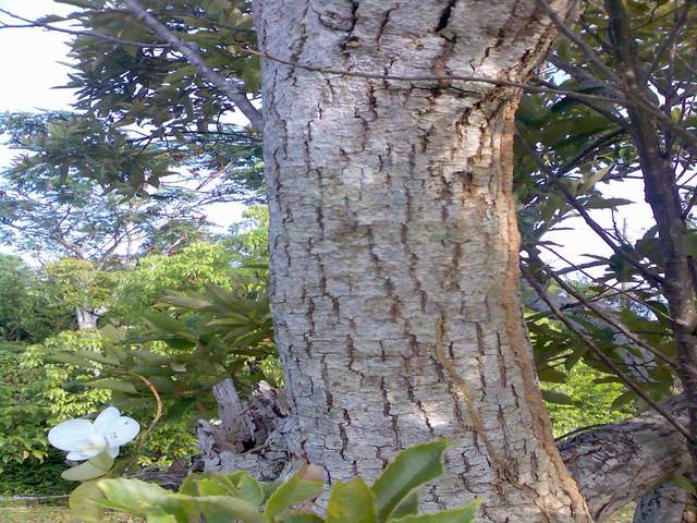 «ö¦¹¦b·sµøµ¡ÂsÄý¹Ï¤ù