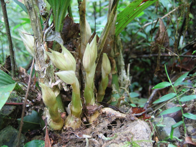 «ö¦¹¦b·sµøµ¡ÂsÄý¹Ï¤ù