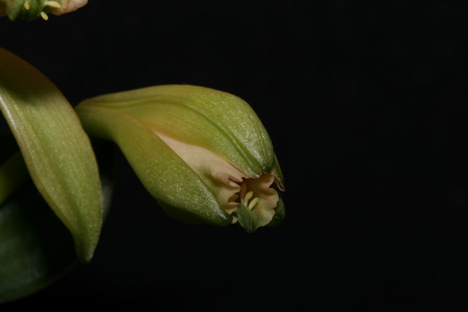 «ö¦¹¦b·sµøµ¡ÂsÄý¹Ï¤ù