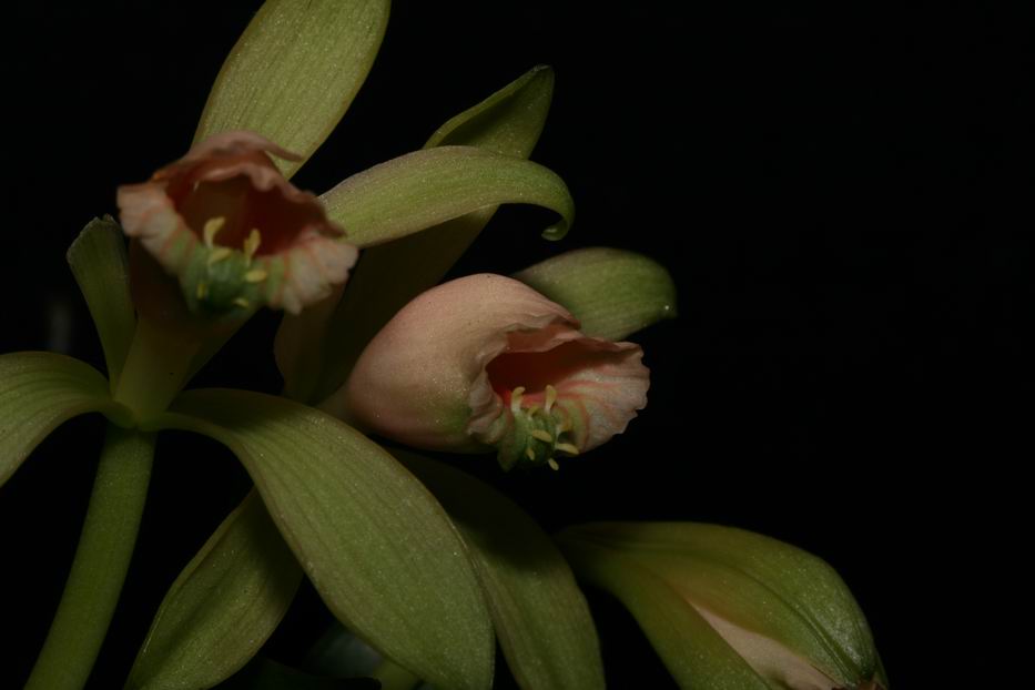 «ö¦¹¦b·sµøµ¡ÂsÄý¹Ï¤ù