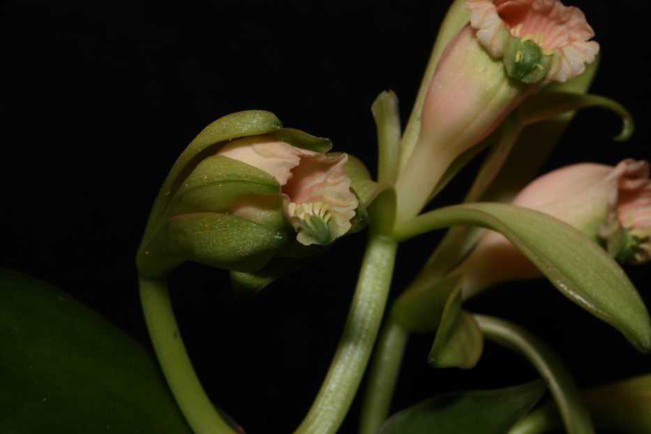 «ö¦¹¦b·sµøµ¡ÂsÄý¹Ï¤ù