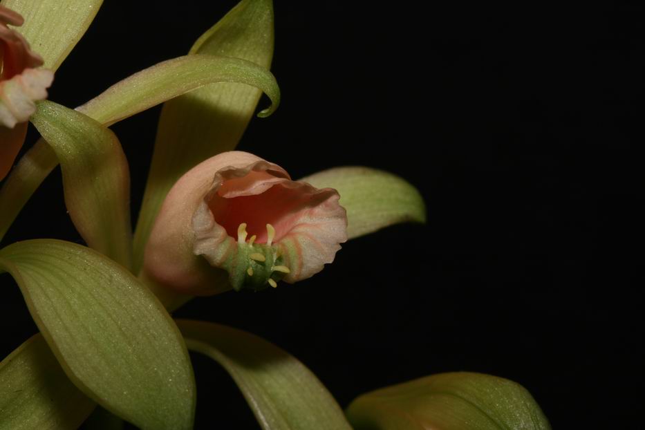 «ö¦¹¦b·sµøµ¡ÂsÄý¹Ï¤ù