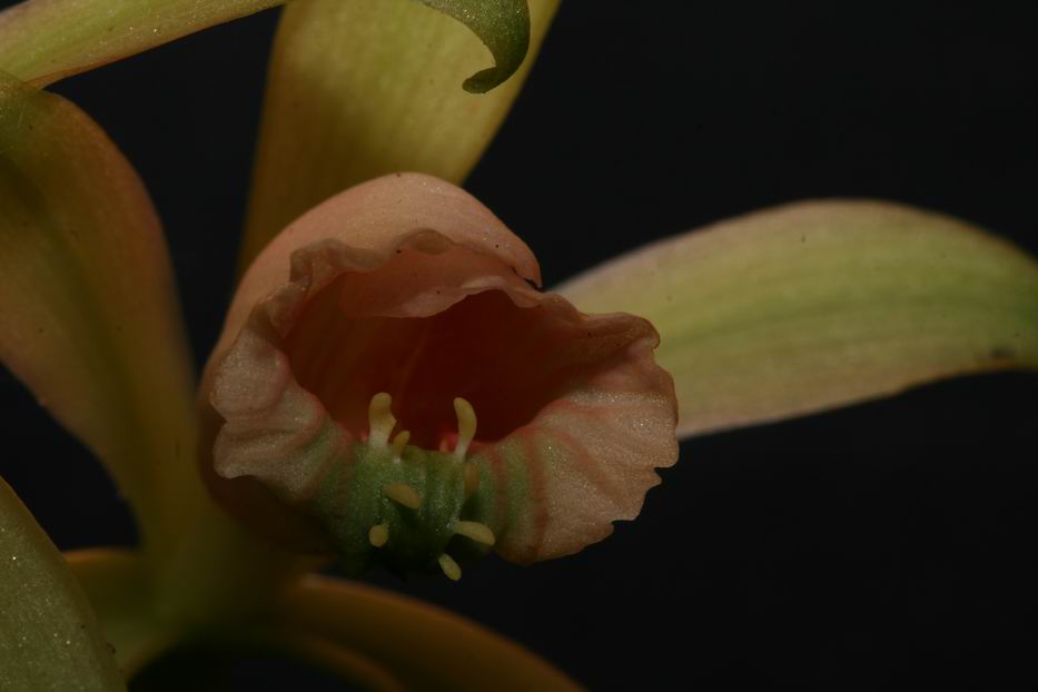 «ö¦¹¦b·sµøµ¡ÂsÄý¹Ï¤ù