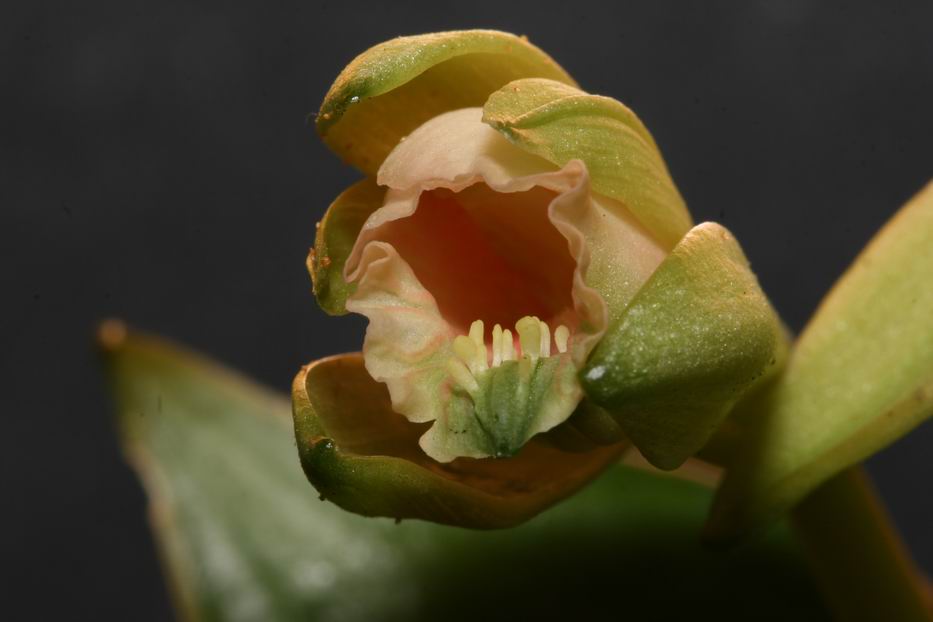 «ö¦¹¦b·sµøµ¡ÂsÄý¹Ï¤ù