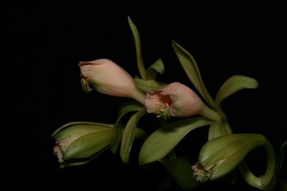 «ö¦¹¦b·sµøµ¡ÂsÄý¹Ï¤ù