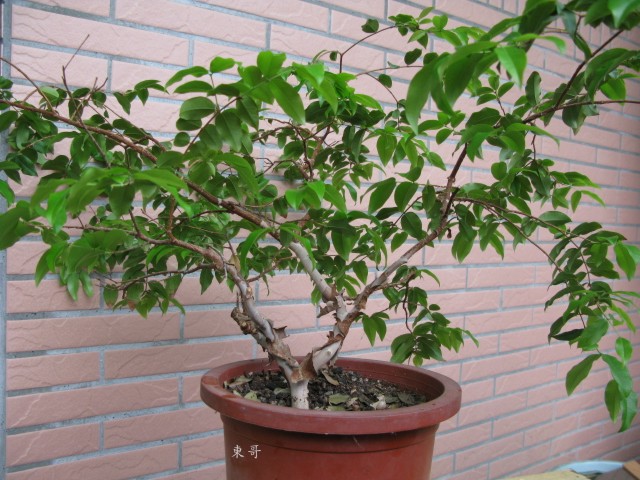 «ö¦¹¦b·sµøµ¡ÂsÄý¹Ï¤ù