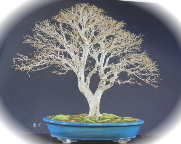 «ö¦¹¦b·sµøµ¡ÂsÄý¹Ï¤ù