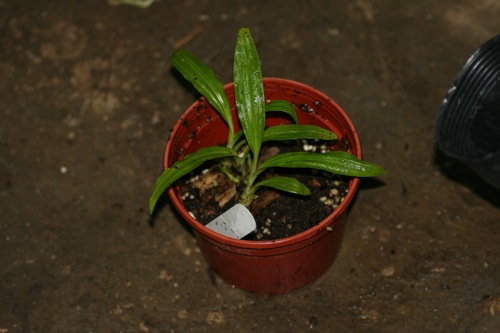 «ö¦¹¦b·sµøµ¡ÂsÄý¹Ï¤ù