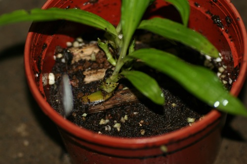 «ö¦¹¦b·sµøµ¡ÂsÄý¹Ï¤ù