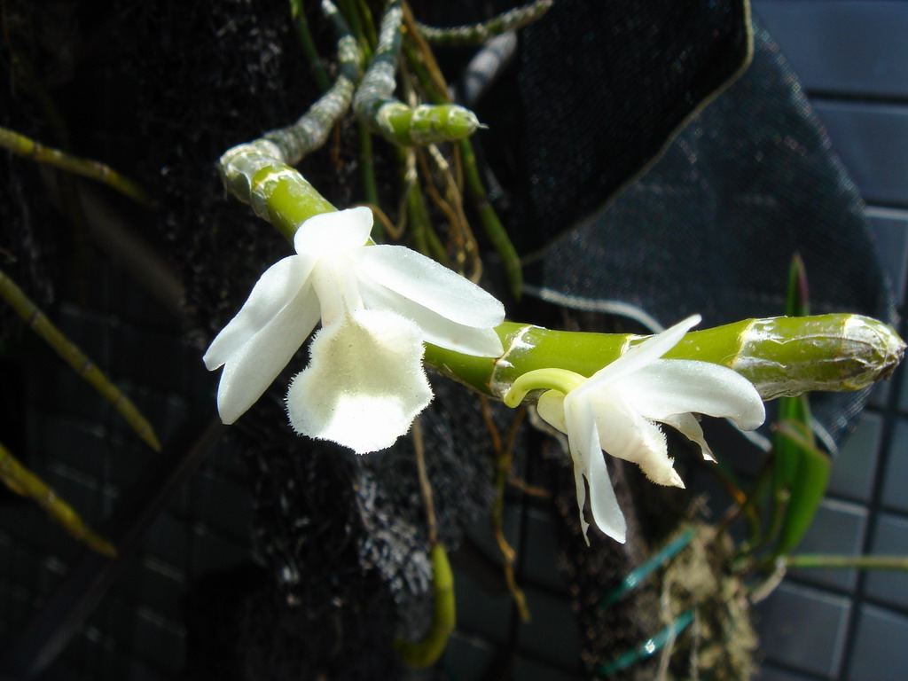 «ö¦¹¦b·sµøµ¡ÂsÄý¹Ï¤ù