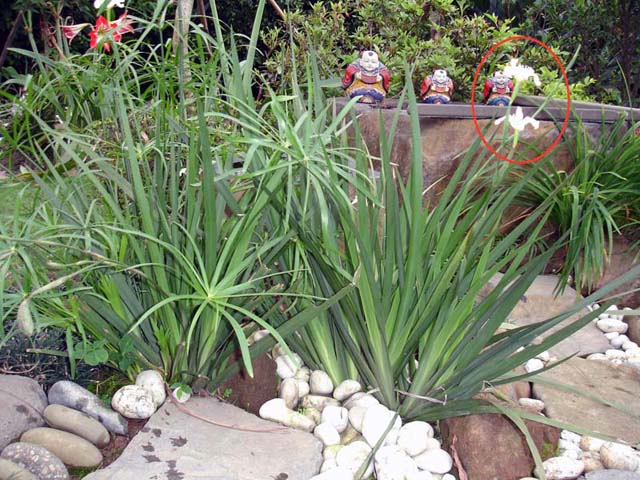 «ö¦¹¦b·sµøµ¡ÂsÄý¹Ï¤ù