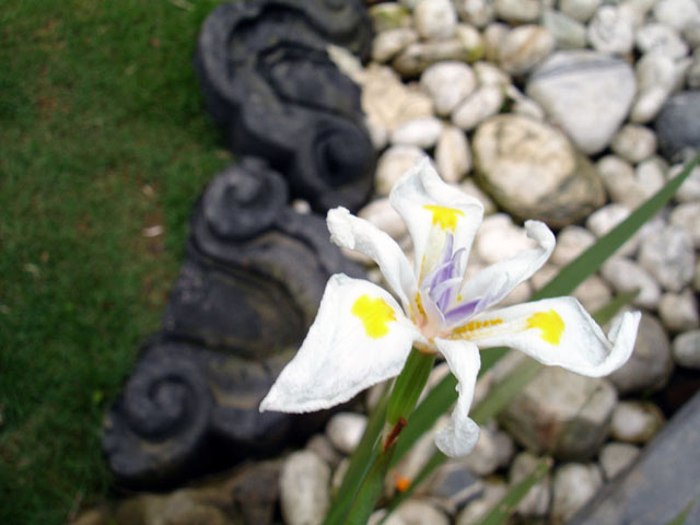 «ö¦¹¦b·sµøµ¡ÂsÄý¹Ï¤ù