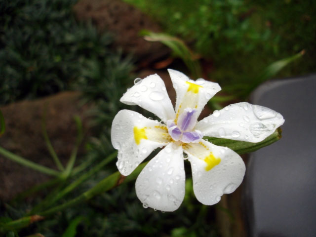 «ö¦¹¦b·sµøµ¡ÂsÄý¹Ï¤ù