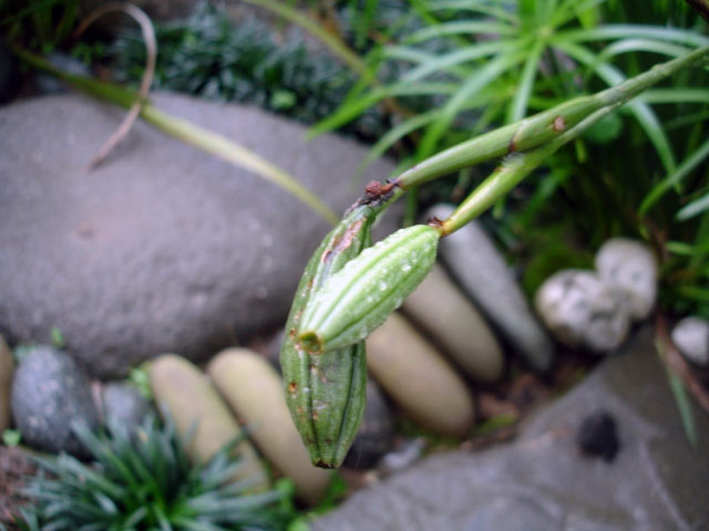 «ö¦¹¦b·sµøµ¡ÂsÄý¹Ï¤ù