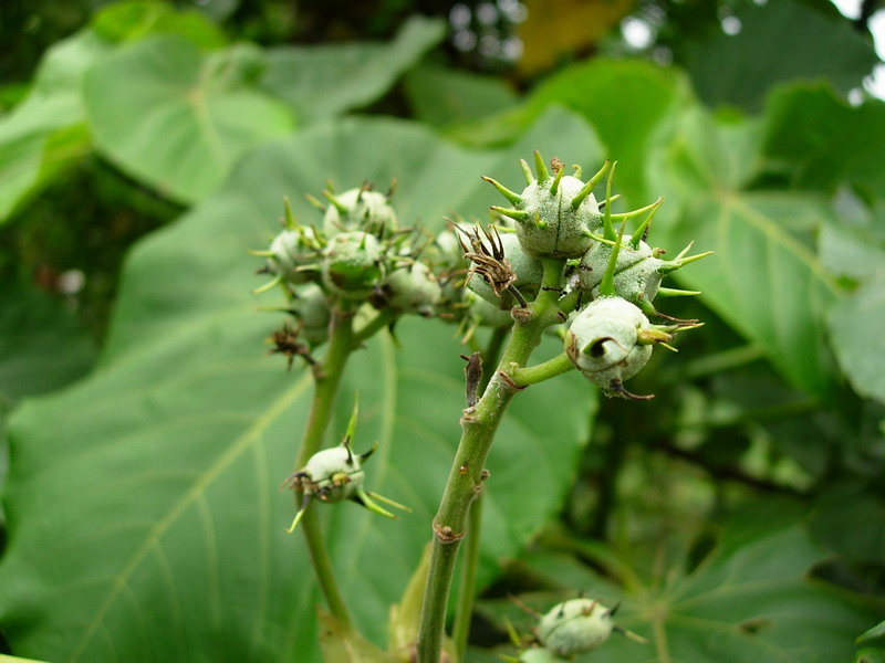 «ö¦¹¦b·sµøµ¡ÂsÄý¹Ï¤ù