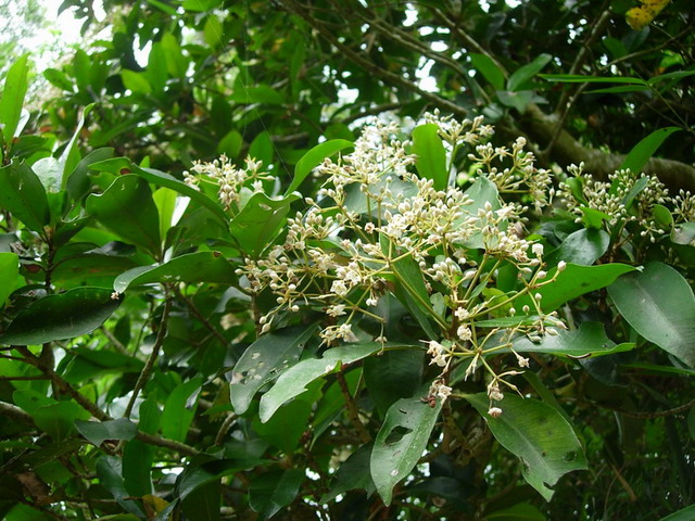 «ö¦¹¦b·sµøµ¡ÂsÄý¹Ï¤ù