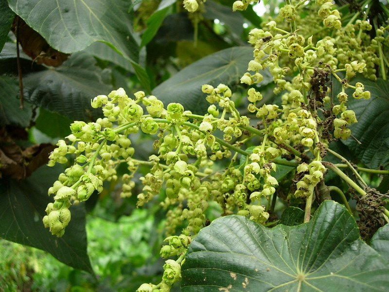 «ö¦¹¦b·sµøµ¡ÂsÄý¹Ï¤ù