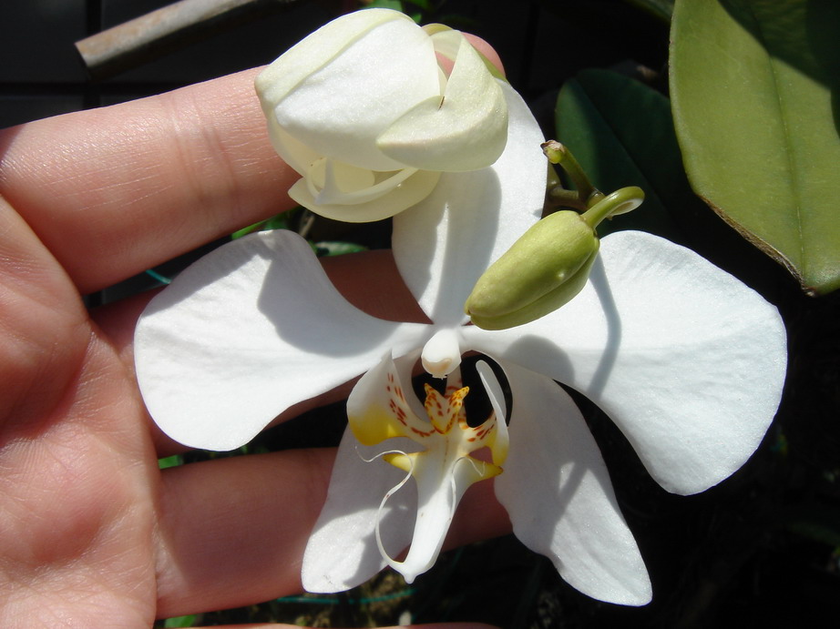 «ö¦¹¦b·sµøµ¡ÂsÄý¹Ï¤ù