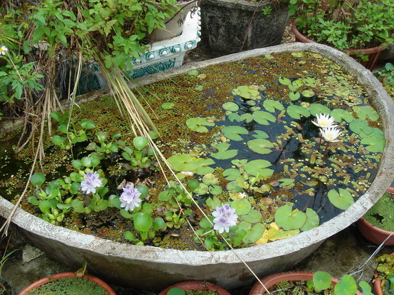 «ö¦¹¦b·sµøµ¡ÂsÄý¹Ï¤ù