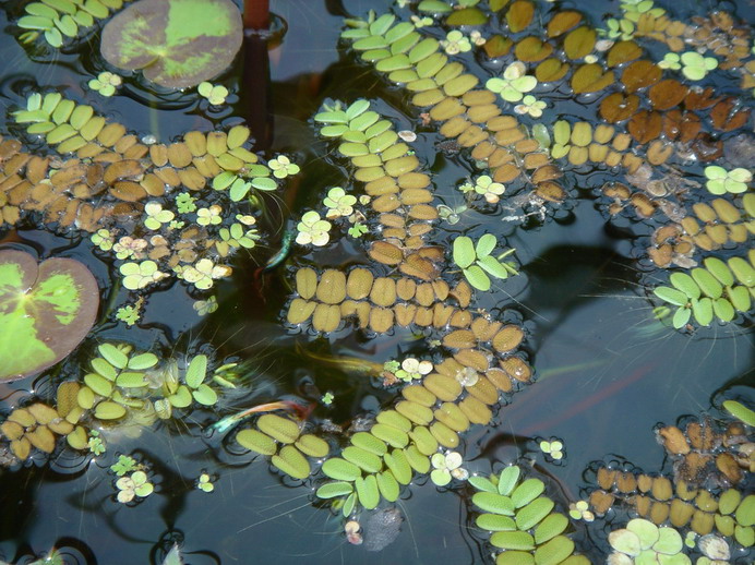 «ö¦¹¦b·sµøµ¡ÂsÄý¹Ï¤ù