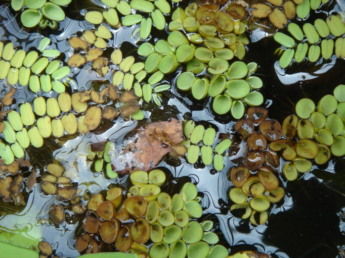 «ö¦¹¦b·sµøµ¡ÂsÄý¹Ï¤ù