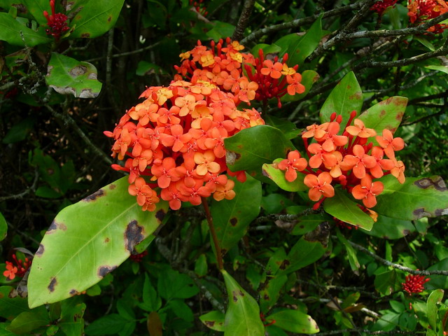 «ö¦¹¦b·sµøµ¡ÂsÄý¹Ï¤ù