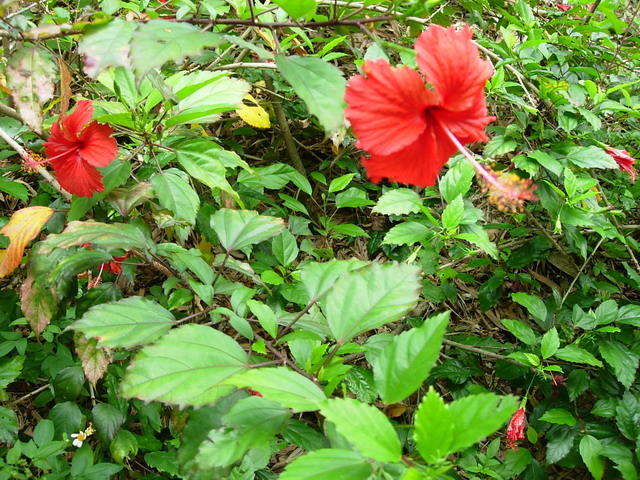 «ö¦¹¦b·sµøµ¡ÂsÄý¹Ï¤ù