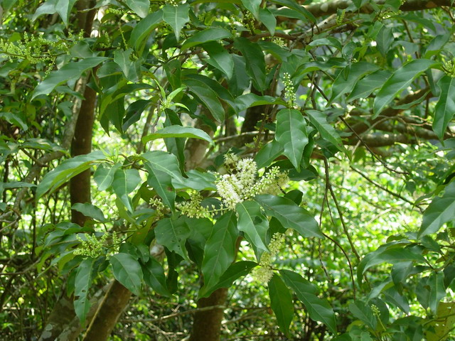 «ö¦¹¦b·sµøµ¡ÂsÄý¹Ï¤ù