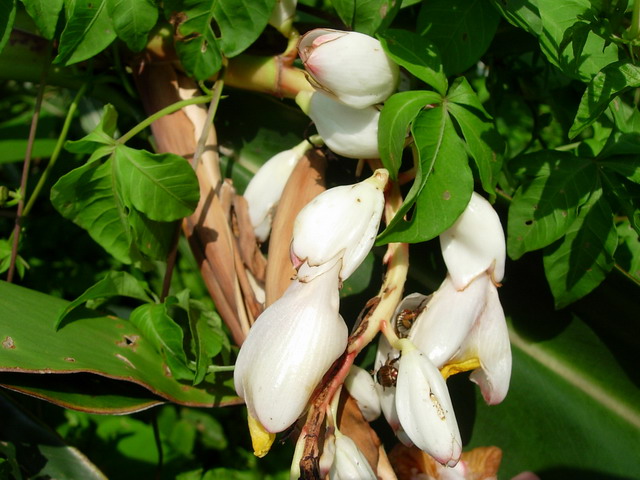 «ö¦¹¦b·sµøµ¡ÂsÄý¹Ï¤ù