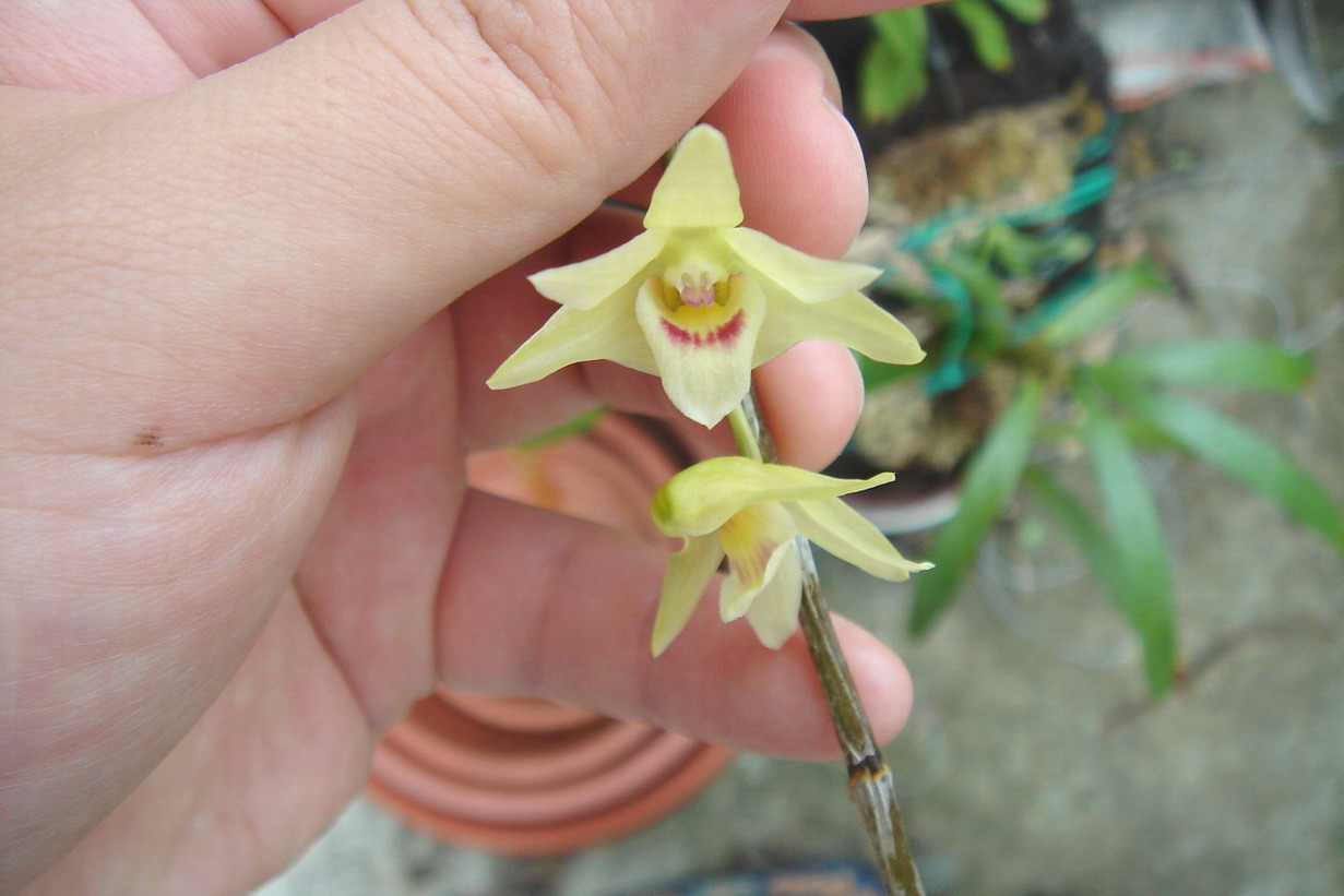 «ö¦¹¦b·sµøµ¡ÂsÄý¹Ï¤ù