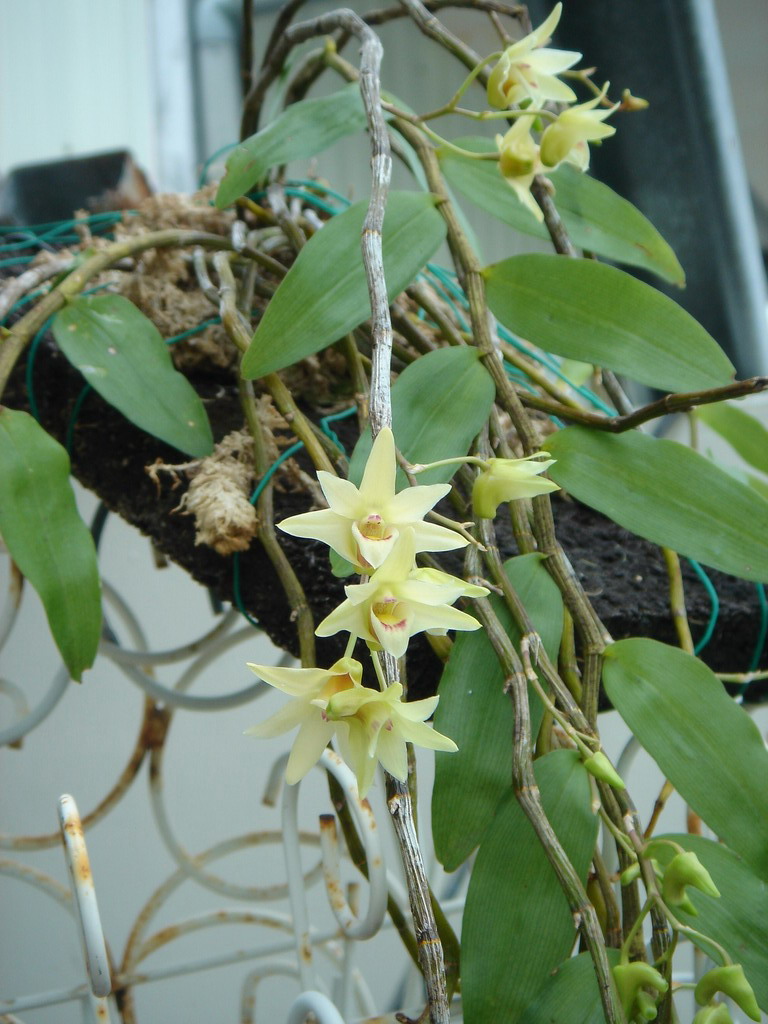 «ö¦¹¦b·sµøµ¡ÂsÄý¹Ï¤ù