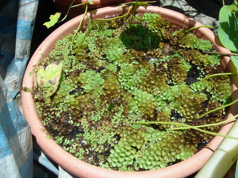 «ö¦¹¦b·sµøµ¡ÂsÄý¹Ï¤ù