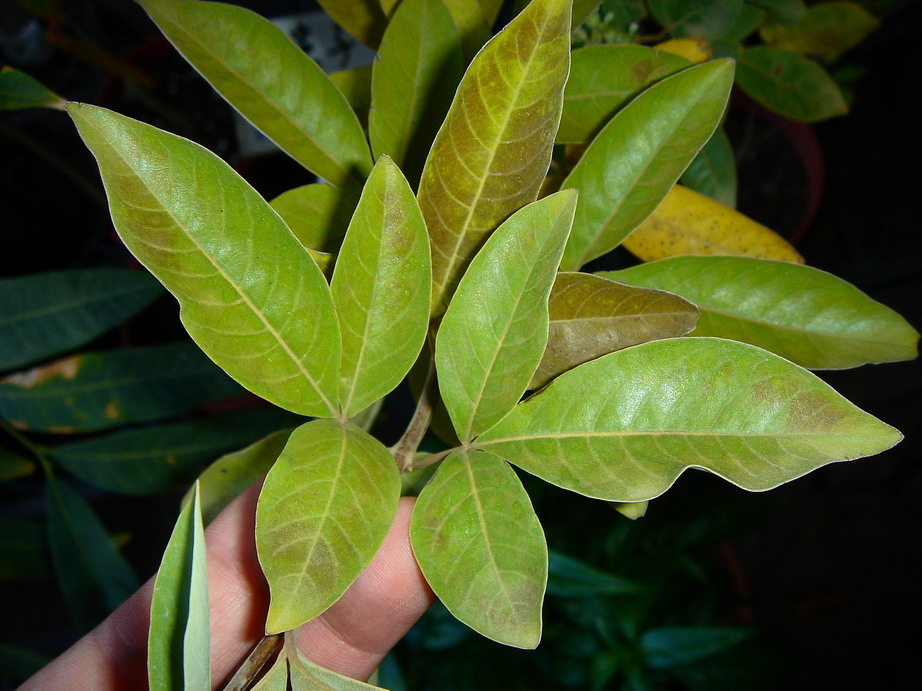 «ö¦¹¦b·sµøµ¡ÂsÄý¹Ï¤ù