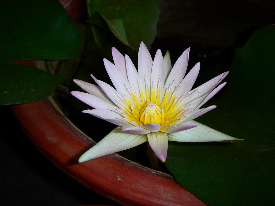 «ö¦¹¦b·sµøµ¡ÂsÄý¹Ï¤ù