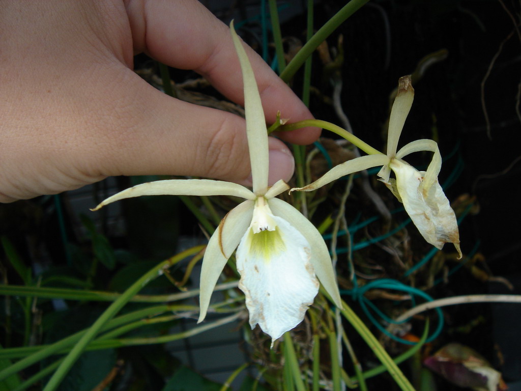 «ö¦¹¦b·sµøµ¡ÂsÄý¹Ï¤ù